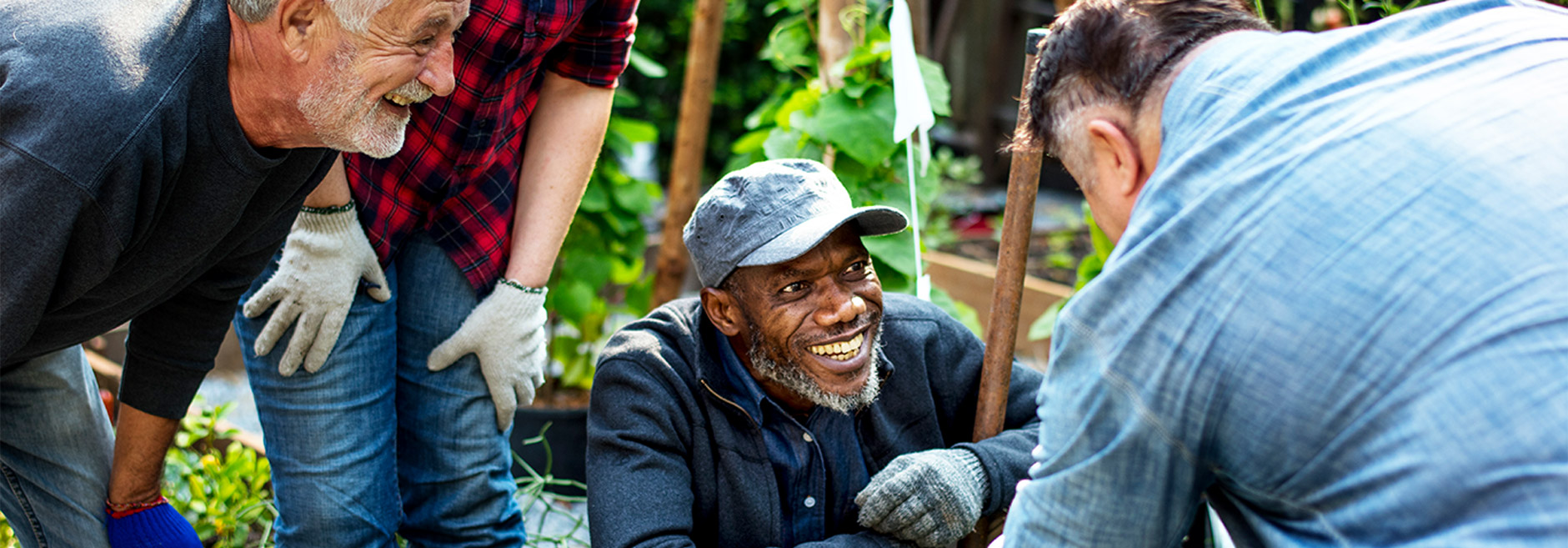 community garden